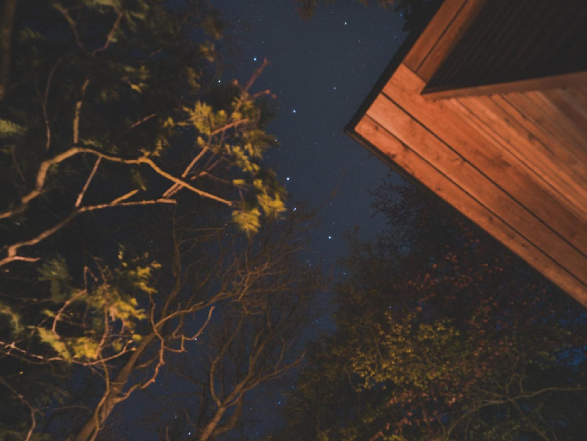 The Lodge, Burniston スカーバラ エクステリア 写真